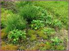 Image00010