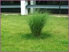 Image00011