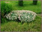 Image00014