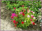 Image00017