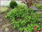 Image00019