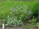 Image00024