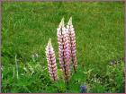 Image00025