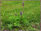 Image00026