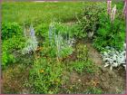 Image00029