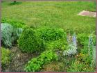 Image00030