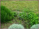 Image00031