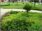 Image00035