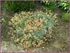 Image00037