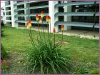 Image00041