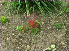 Image00042