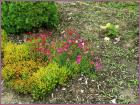 Image00043