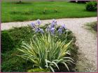 Image00044