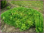 Image00047