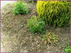 Image00048