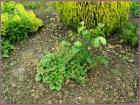 Image00049