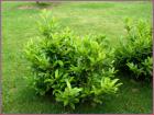 Image00055