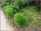 Image00060
